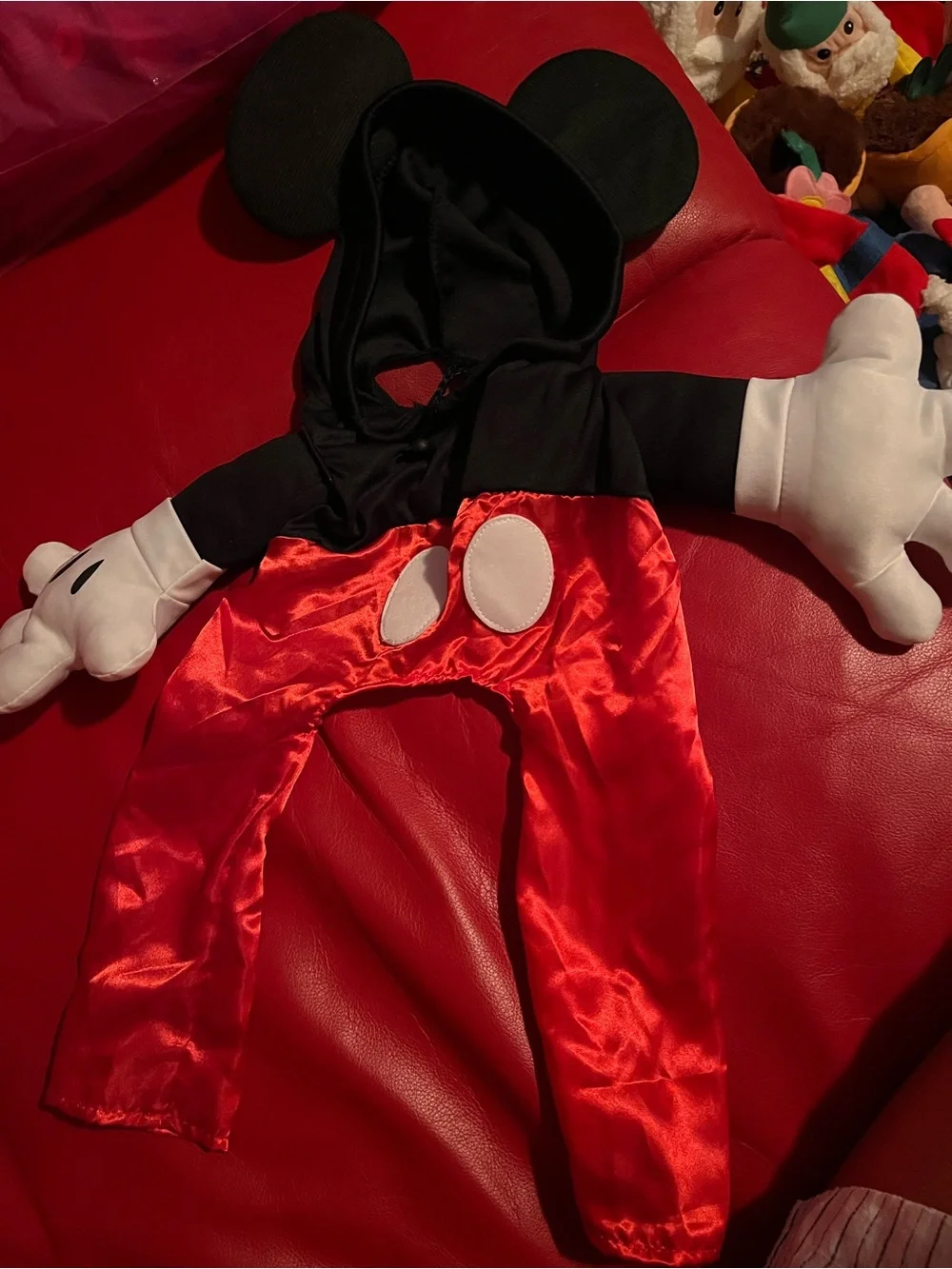 Dog Mickey Mouse Costume
